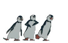 pinguine-0052