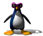 pinguine-0053