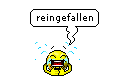 reingefallen